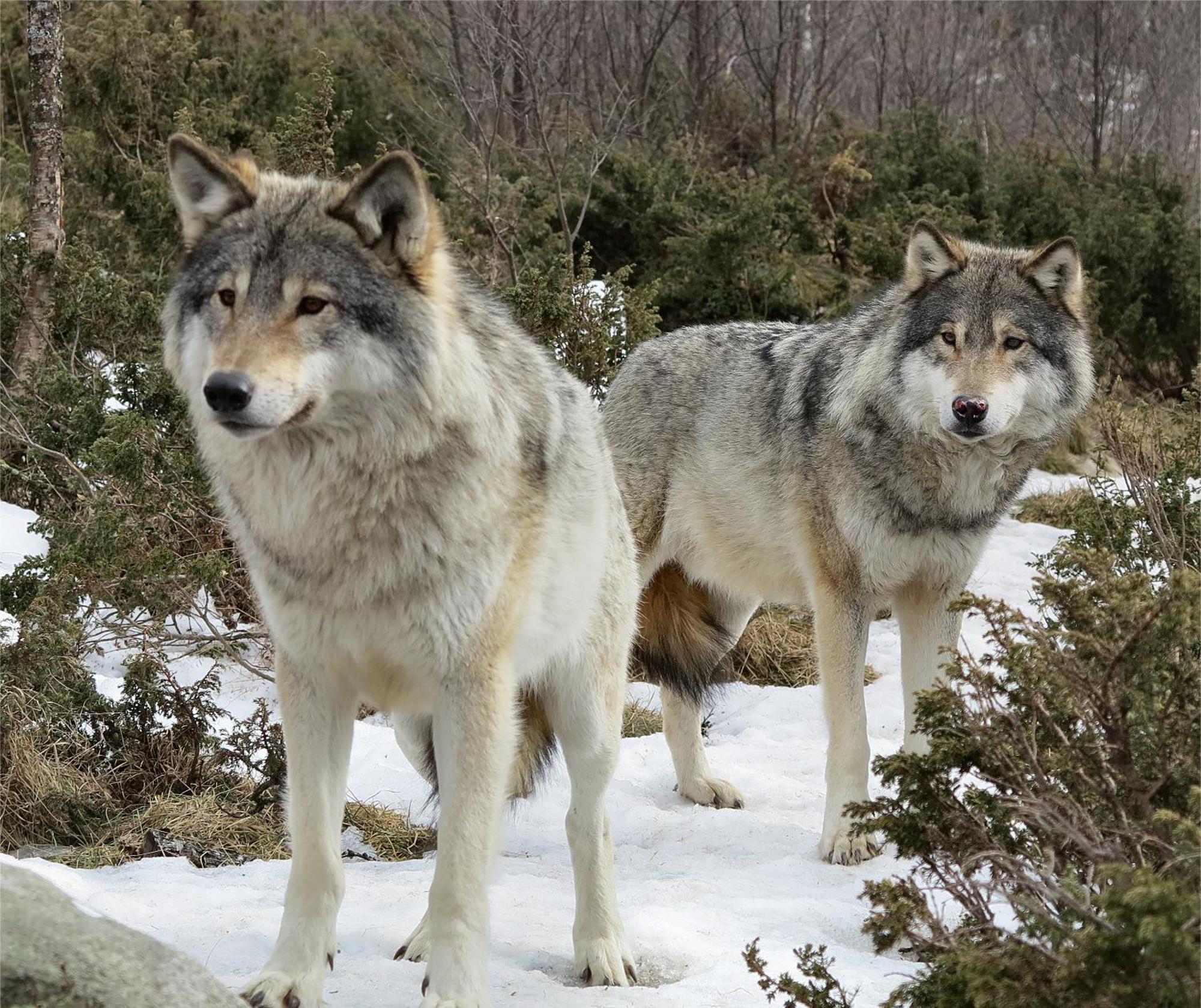 Langedrag Naturpark As Tunhovd Dış mekan fotoğraf